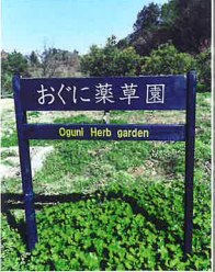 おぐに薬草園